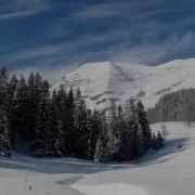 Научи Нас Боже Состраданию