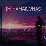 I M Hamar Vnas