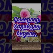 Матур Җыр Сезгә Генә