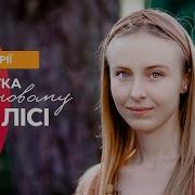 Отпуск В Сосновом Лесу