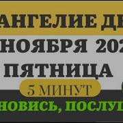 Евангелие На Каждый День Мир Православия