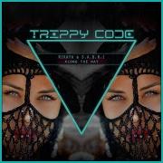 Rikaya S A B R I Running Trippy Code