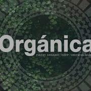 Organix Mix