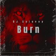 Dj Solovey Burn