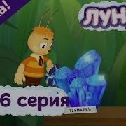 Коллекционеры 446