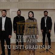 Templul Rugul Aprins Am Un Gradinar In Cer