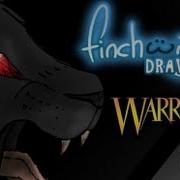 Warrior Cats Night