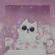 Kitty Kat Speed Up