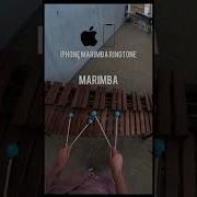 Go Beyond Marimba 5Th Version