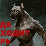 Когда Приходит Тварь Автор Мария Некрасова