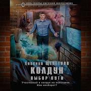 Аудиокнига Выбор Пути Колдун Книга 2