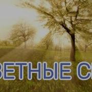 Цветные Сны History Of Music