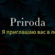 Песни Про Лес И Природу