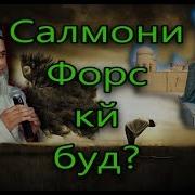 Кисаи Салмони Форс