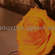 Хьо Виц Вина Хьо Д1Атесна
