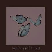 Butterflies Kacey Musgraves Slowed