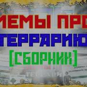 Просто Любитель Мемы Про Террарию 2