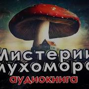 Мистерий Мухомора