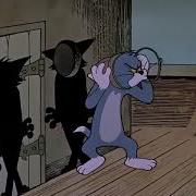 Tom And Jerry Dicky Moe