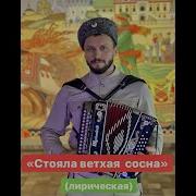 Сорокин Стояла Ветхая Сосна