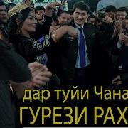 Кури Грез Туёна