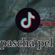 Паша Пэл Тик Ток
