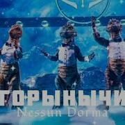 Змей Горыныч Nessun Dorma 5 5 Выпуск Шоу Маска