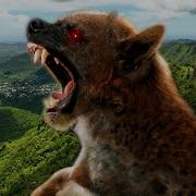 Chupacabra