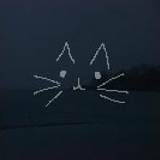 D2S1 Meow