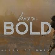 Born Bold Valley Of Wolves Lyrics