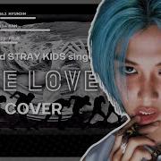 Stray Kids Fake Love Ai Cover