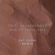 Fritz Kalkbrenner One Of These Days Remix