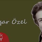 Yasar Ozel