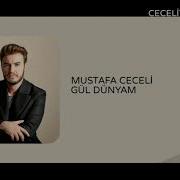 Mustafa Ceceli Gul Dunyam