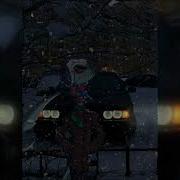 Брадяга Sloweb