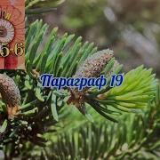 Биология 5 6 Класс Пасечник Параграф 20