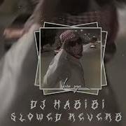 Dj Habibi Slowed