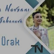 Terlan Novxani Bir Urek 2019 Ft Nigar Sabanova Music Video