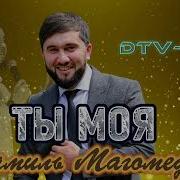 Шамиль Магомедов Ты Моя Роза