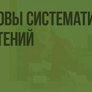 Систематика Растений