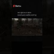 Ничё Нормалек Прорвемся Stalkershorts Сталкер Stalker Shorts Short Одиночки