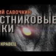 Дмитрий Савочкин Аудиокниги