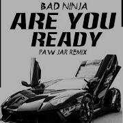 Bad Ninja Are You Ready Paw Jar Remix