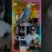 Yum Yum The Tiel Song Feat Yum Yum