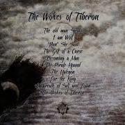 Winter S Verge Wolves Of Tiberon