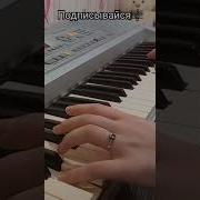 Сакит Самедов Королек Птичка Певчая