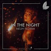 Melih Yildirim In The Night Original Mix