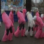 Пластилиновая Ворона Домисолька