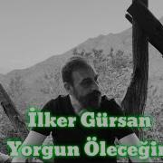 Ilker Gürsan