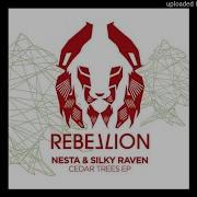 Temple Of Bacchus Original Mix Nesta Silky Raven